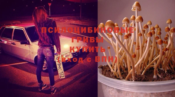 кокаин премиум Алзамай